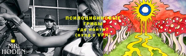 экстази Белокуриха