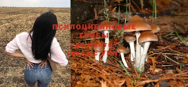 соль курить ск Пересвет