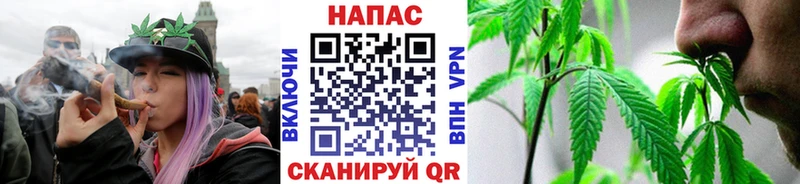 Марихуана план Луза